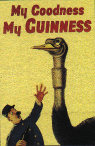 guinness.jpg (53721 bytes)